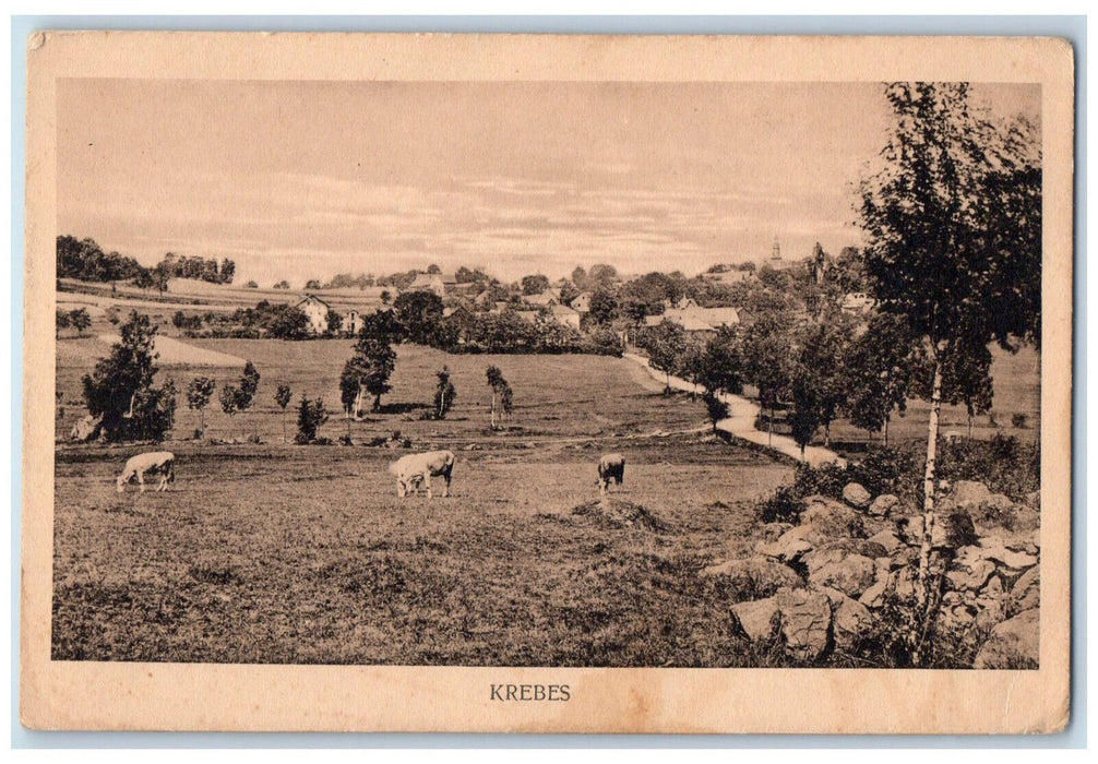 c1940's View of Animals Trees Houses Krebes Burgstein Germany Unposted Postcard