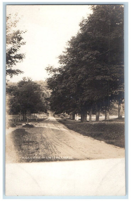 c1910's Roadway Forest View Monterey Massachusetts MA RPPC Unposted Postcard