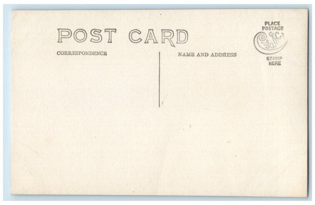 c1910's Roadway Forest View Monterey Massachusetts MA RPPC Unposted Postcard