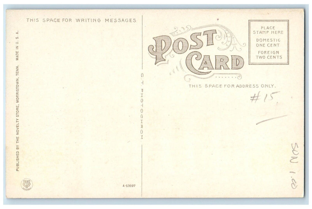 c1910 Court House Dandridge Exterior Building Jefferson Co. Tennessee Postcard
