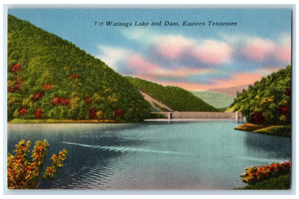 c1940 Watauga Lake Dam Mountain Trees Eastern Tennessee Vintage Antique Postcard