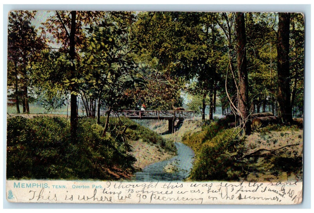 1906 Overton Park River Lake Bridge Trees Memphis Tennessee Tuck Sons Postcard