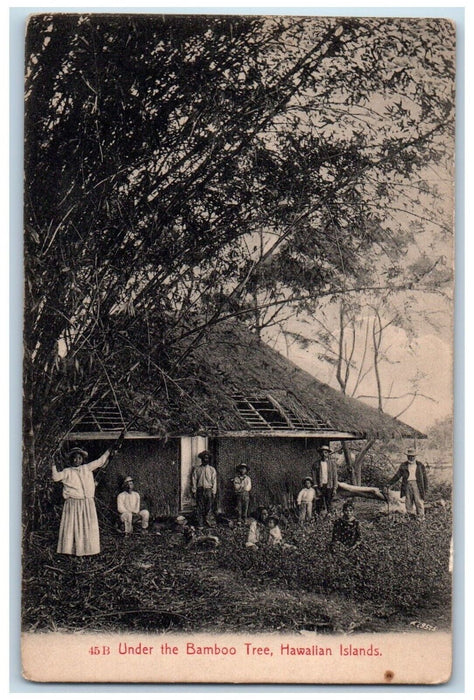 c1910's Family Under The Bamboo Tree Hawaiian Islands HI Antique Postcard
