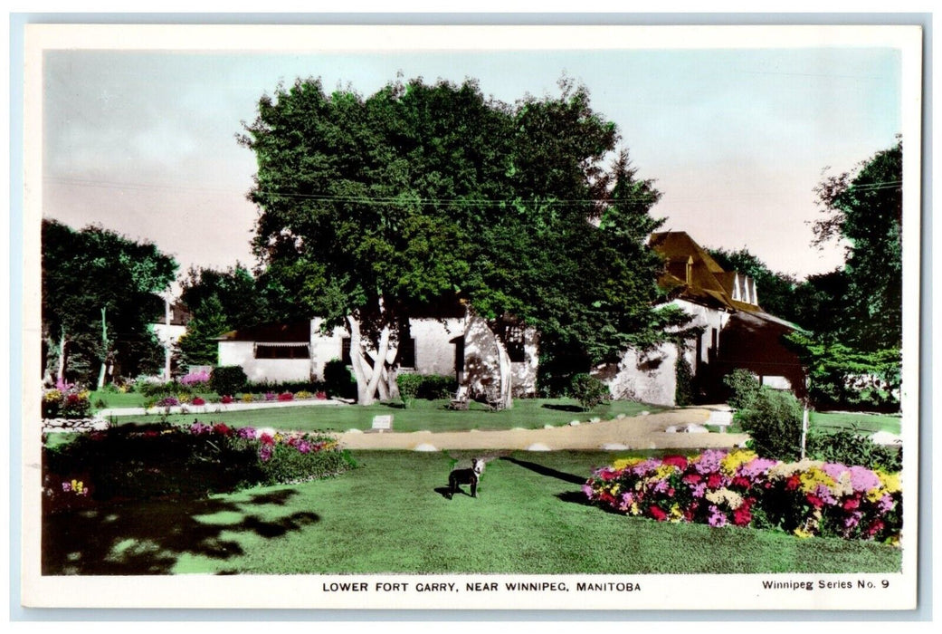 c1910's Dog Lower Fort Garry Near Winnipeg Manitoba Canada RPPC Photo Postcard