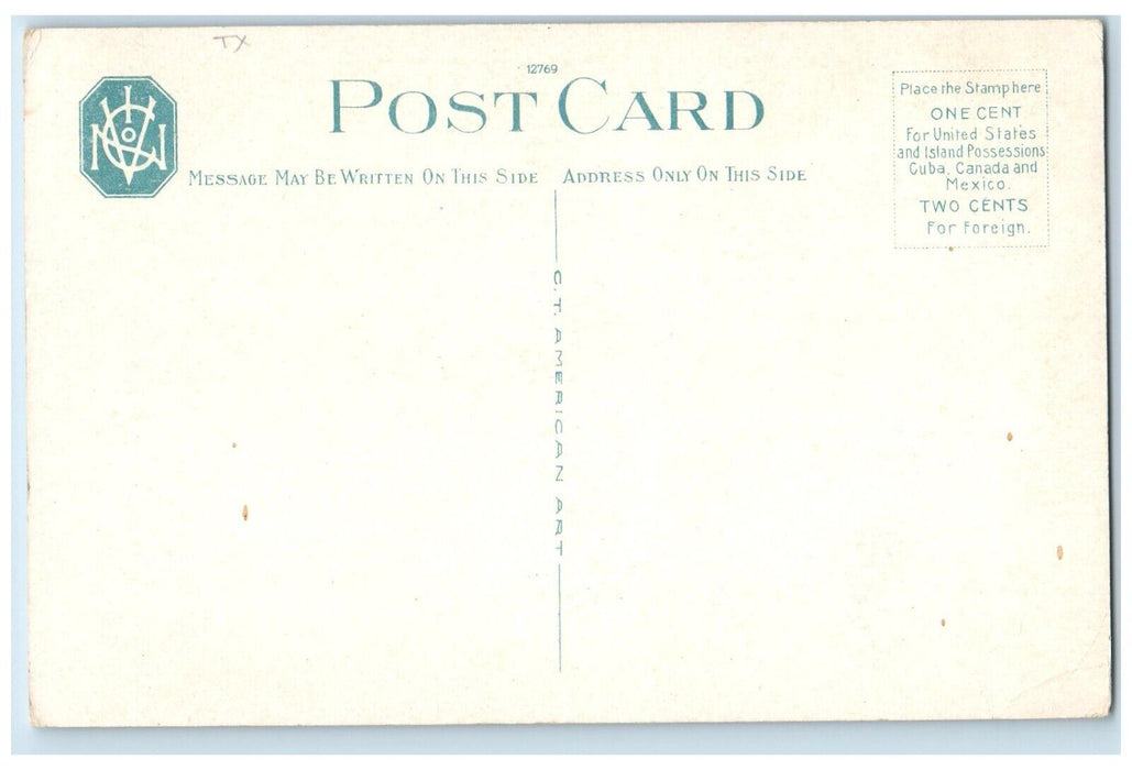 c1920 Sunset Route Mouth Rio Grande Devils River Texas Vintage Antique Postcard