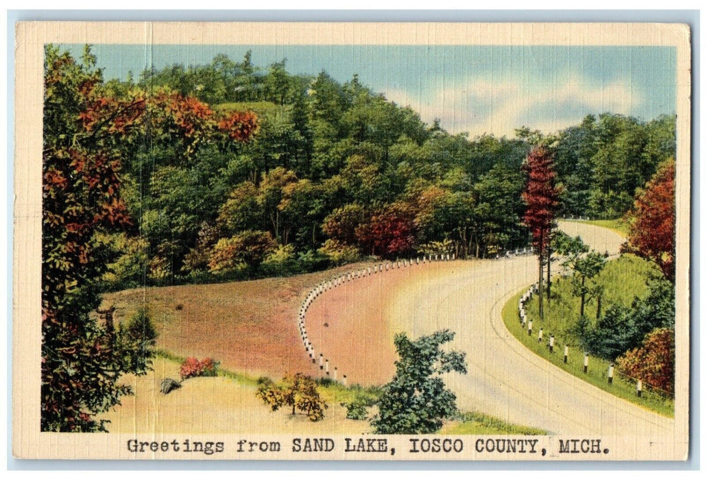 c1940 Greetings From Sand Lake Trees Road Iosco County Michigan Vintage Postcard