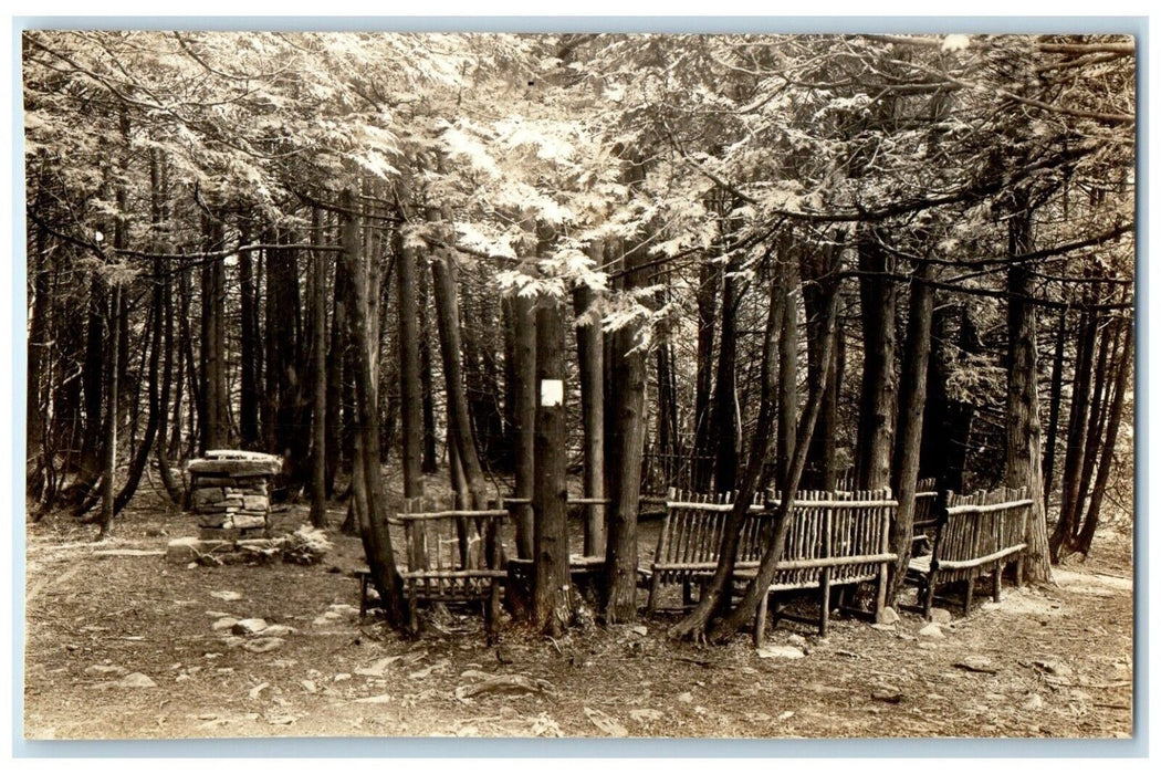 c1930's Eagle Camp South Hero Vermont VT, Trees Vintage RPPC Photo Postcard