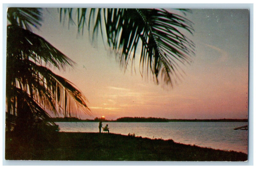 c1960 Lovely Florida Sunset Casts Golden Glow Everglades Wildlife Park Postcard