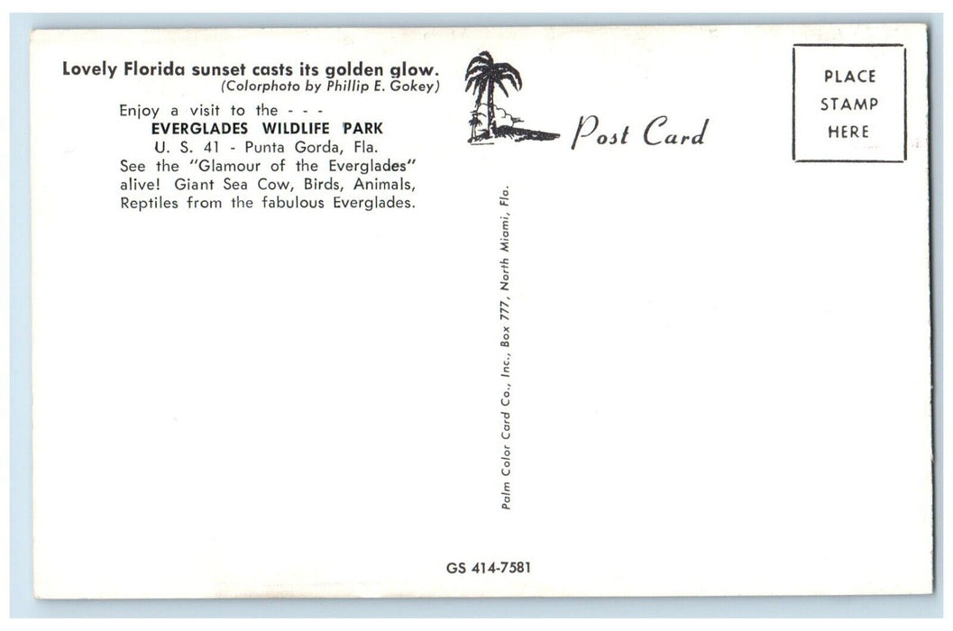 c1960 Lovely Florida Sunset Casts Golden Glow Everglades Wildlife Park Postcard