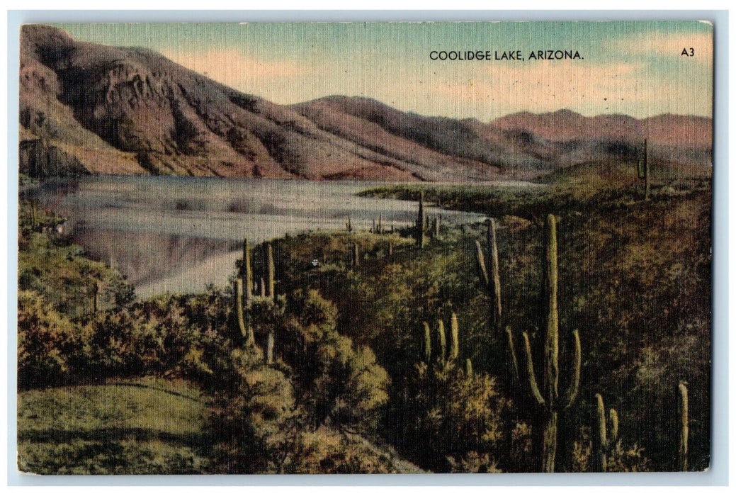 1941 Dam Casa Grande Valley Gila River Coolidge Lake Arizona AZ Vintage Postcard