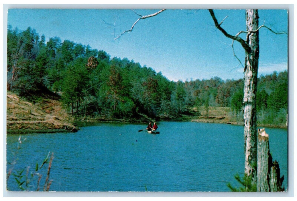 1961 Greetings From River Lake Trees Johannesburg Michigan MI Vintage Postcard