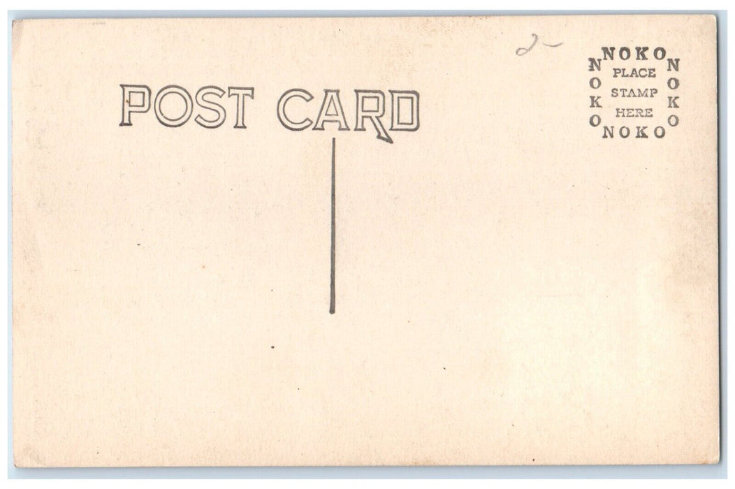 c1910's Longs Peak From Twin Trees Estes Park Colorado CO RPPC Photo Postcard