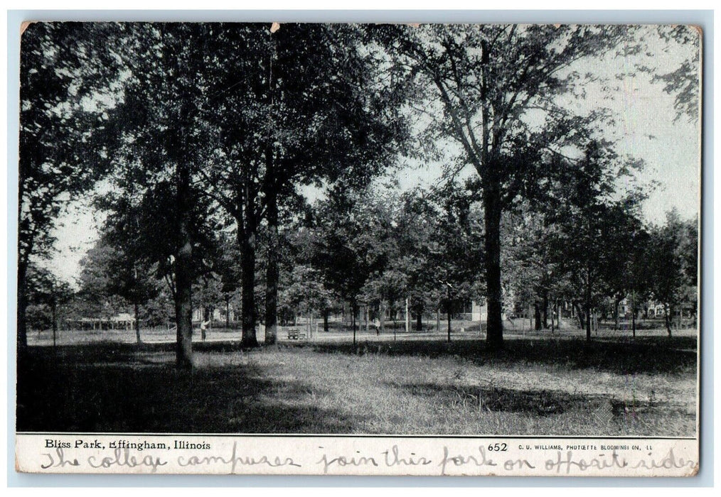 1911 Scenic View Bliss Park Effingham Illinois Vintage Antique Posted Postcard