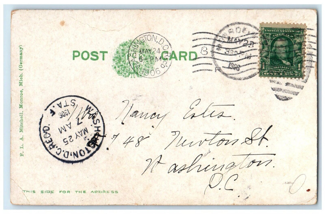 1906 View Of The Lotus Beds Monroe Michigan MI Washington DC Antique Postcard