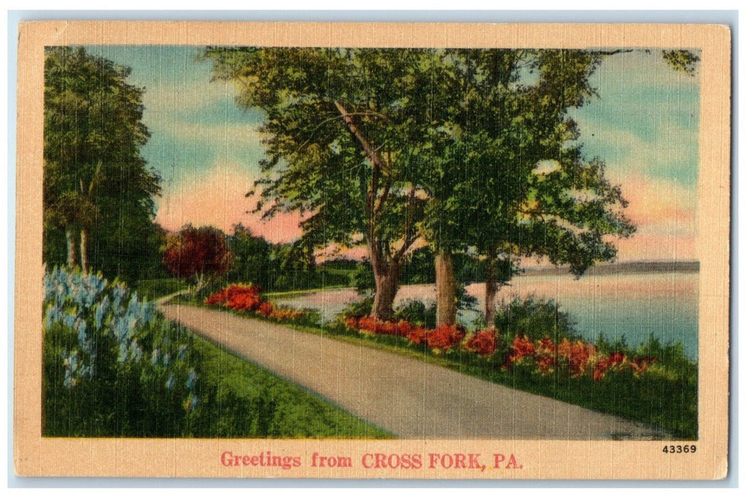 Greetings From Cross Fork Pennsylvania PA, Road Lake View Antique Postcard