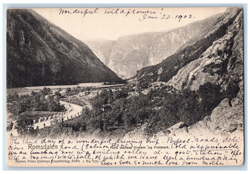 1903 Lot Between Ormem and Fiatmark Romsdalen Norway Antique Postcard