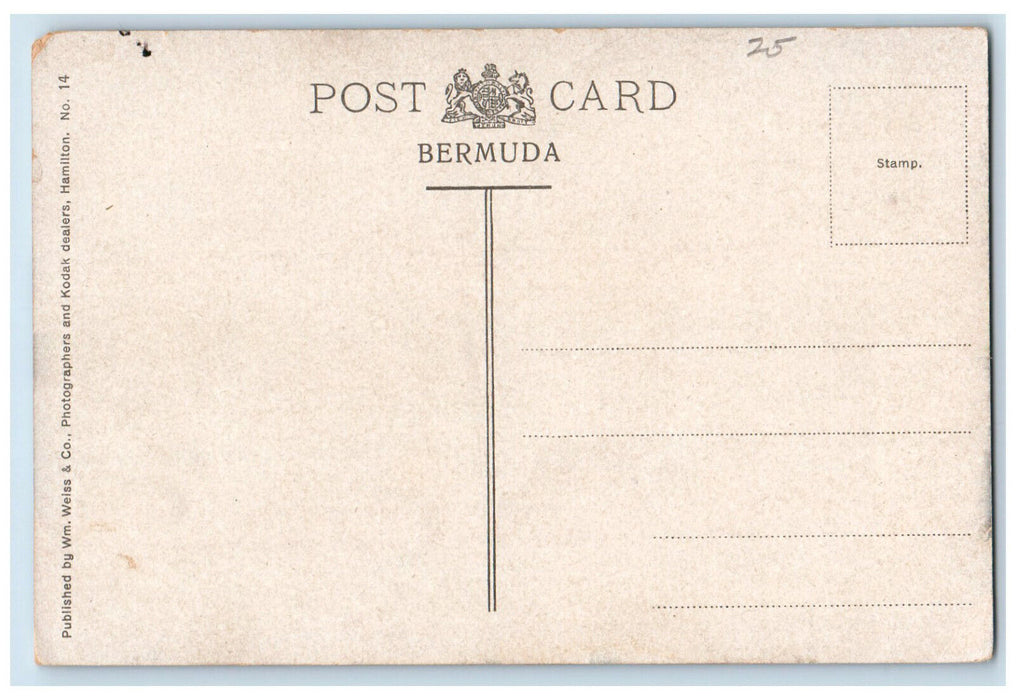 c1910 Walsingham Tom. Moores House Bermuda Unposted Antique Postcard