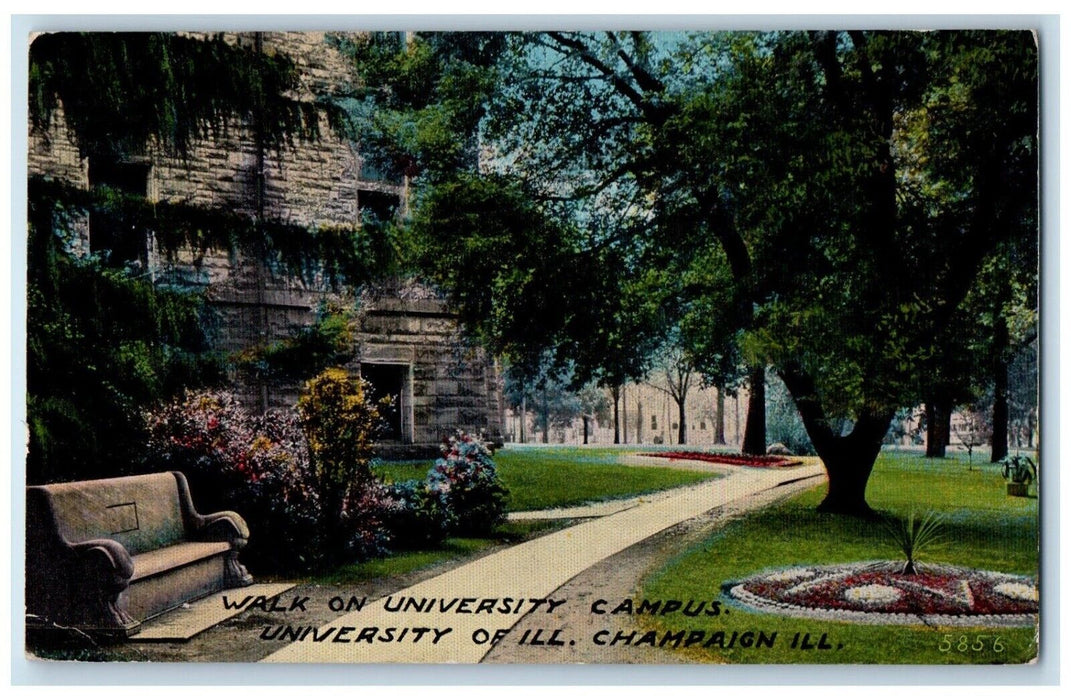 1912 Walk University Campus University Illinois Champaign IL Vintage Postcard