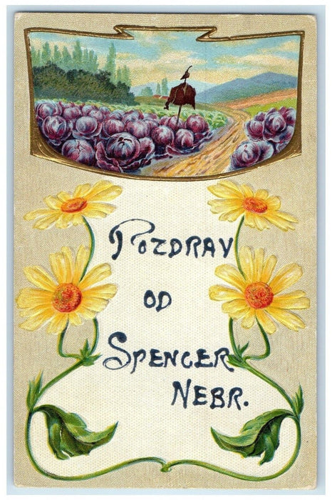 1911 Greetings From Spencer Nebraska NE, Flowers Nash Embossed Antique Postcard