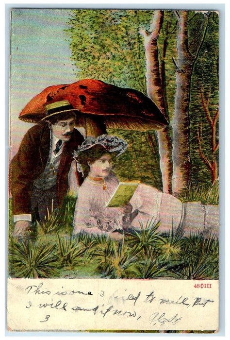 1907 Couple Romance Mushroom Toadstool Fantasy Mouth Of Seneca Antique Postcard