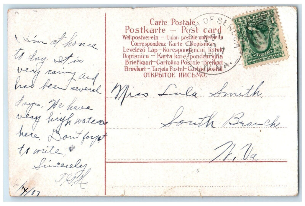 1907 Couple Romance Mushroom Toadstool Fantasy Mouth Of Seneca Antique Postcard