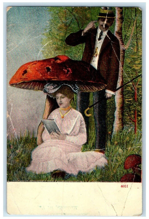 Couple Romance Mushroom Toadstool Fantasy South Branch WV Antique Postcard