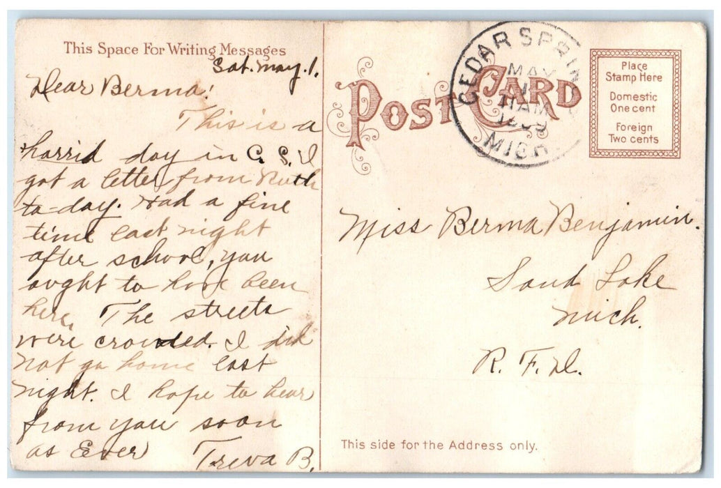 1909 Pretty Little Girl Head Curly Hair Butterfly Cedar Springs MI Postcard