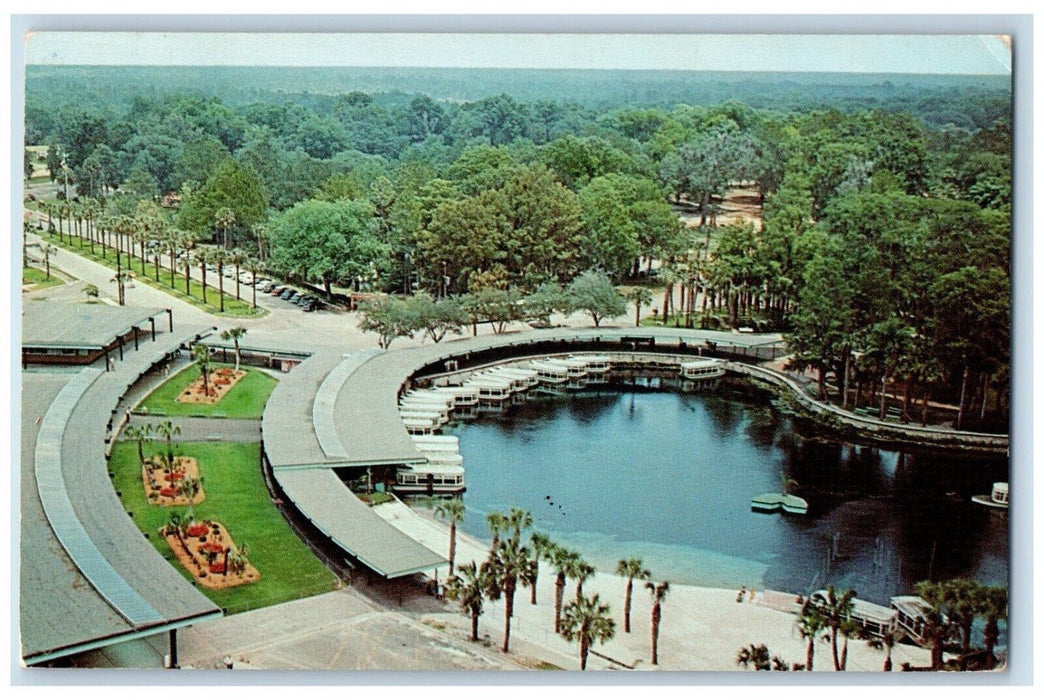 1962 Birds Eye View Florida Silver Springs Nature Underwater Fairyland Postcard