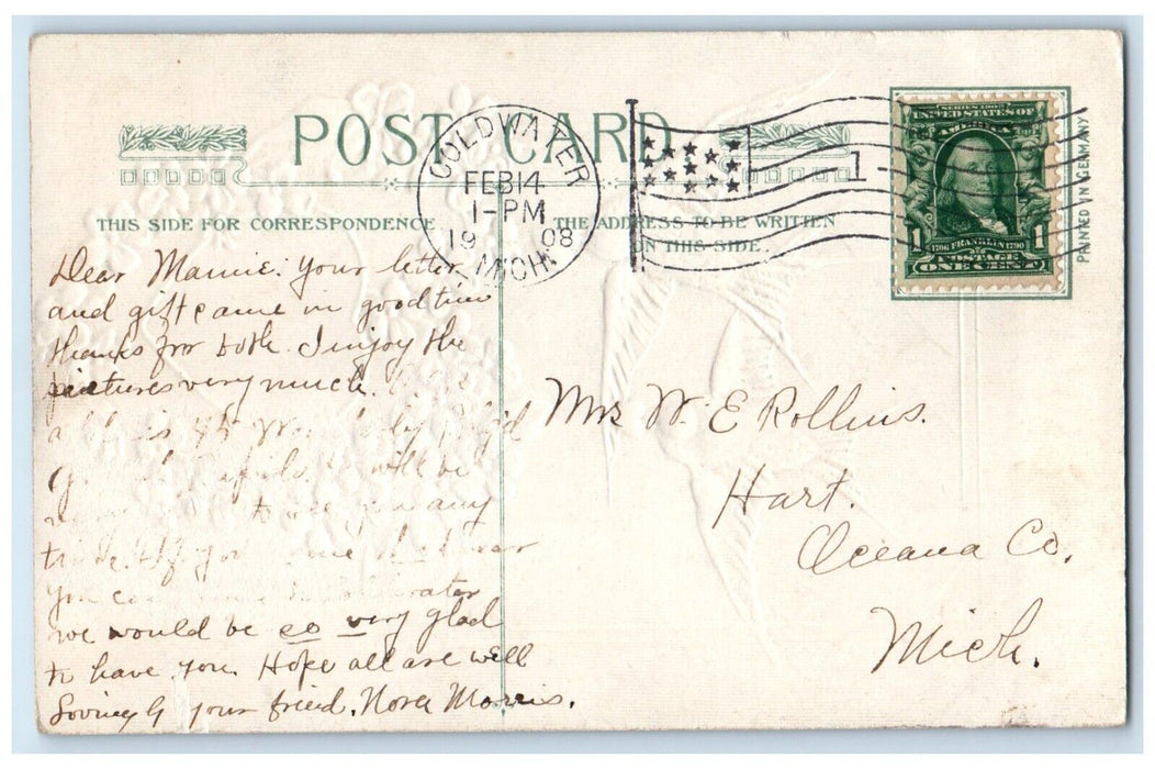 1908 Valentine Greeting Flowers Birds Winsch Back Cold Water MI Antique Postcard