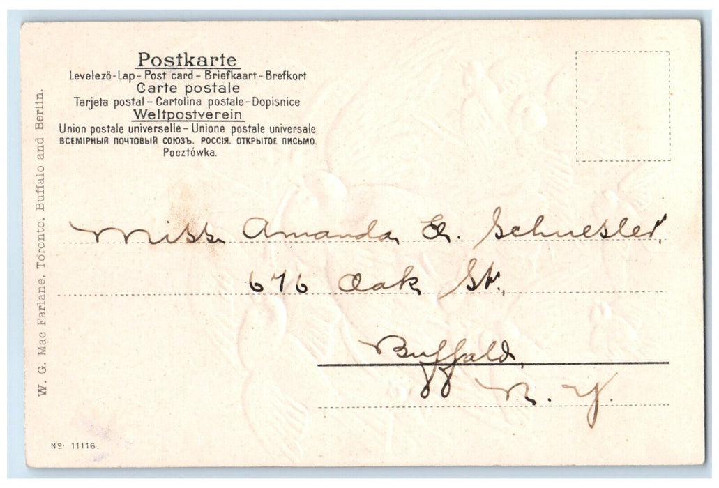 1907 Valentine Dove Letters Embossed Buffalo New York NY Embossed Postcard