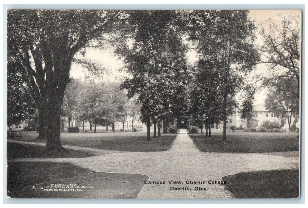 c1940 Campus View Oberlin College Pathway Trees Oberlin Ohio OH Vintage Postcard