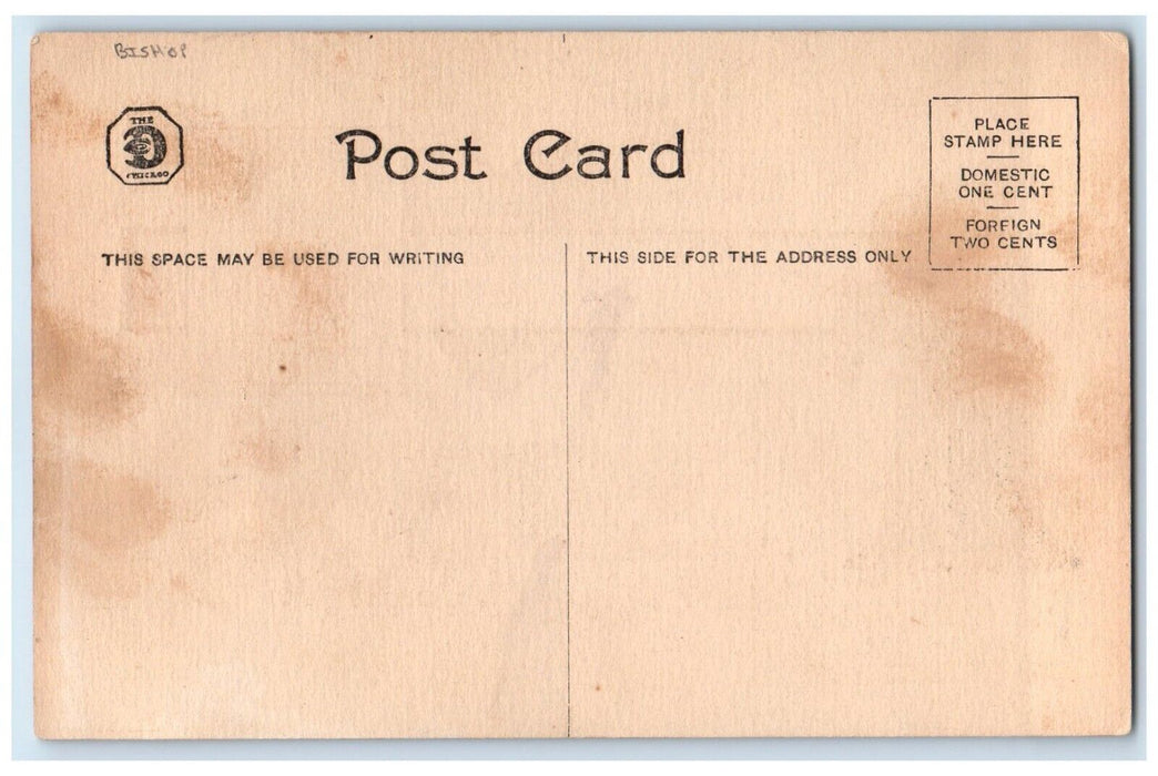 c1910's Valentine Cupid Teaches Conjugation Of The Verb Bishop Antique Postcard
