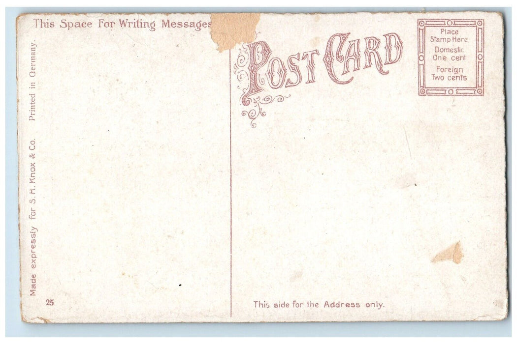 c1910 High Bridge Lincoln Park River Lake Chicago Illinois IL Vintage Postcard