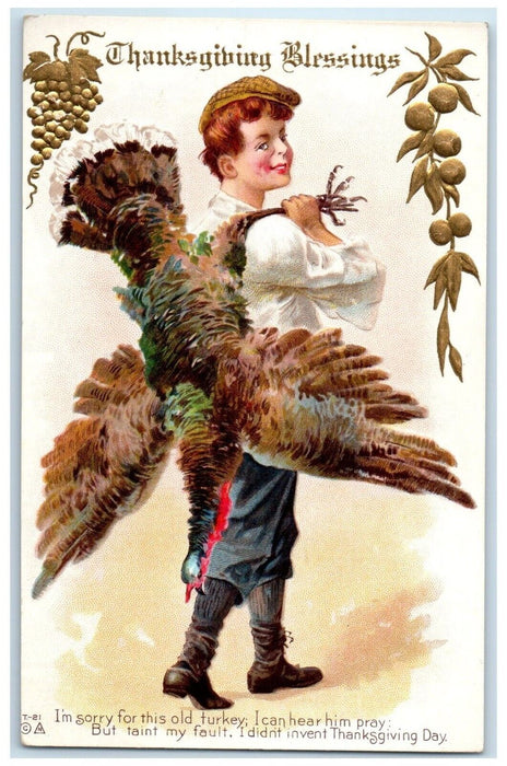 c1910's Thanksgiving Blessings Boy Cached Turkey Embossed Antique Postcard