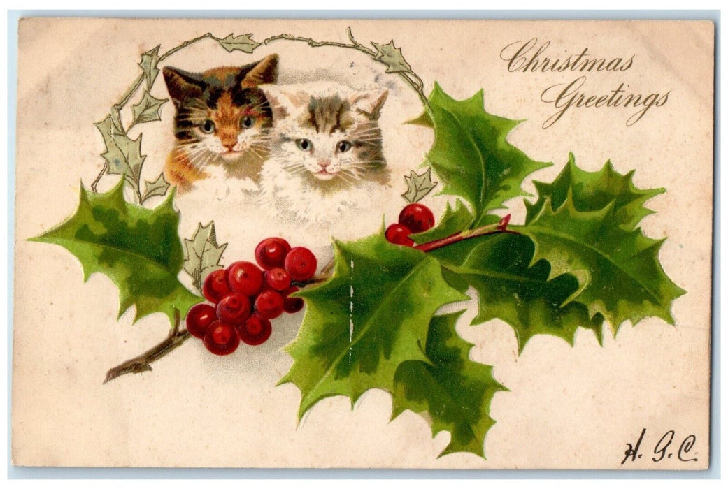 1906 Christmas Greetings Cat Kittens Holly Berries Embossed Nash Posted Postcard