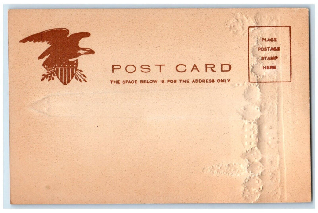 c1905 Washington Monument Washington DC Glitter Unposted Antique Postcard
