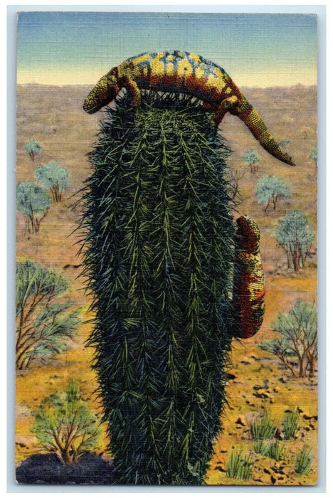 c1940's Gila Monster Reptile Of Lizard Phoenix Arizona AZ Vintage Postcard