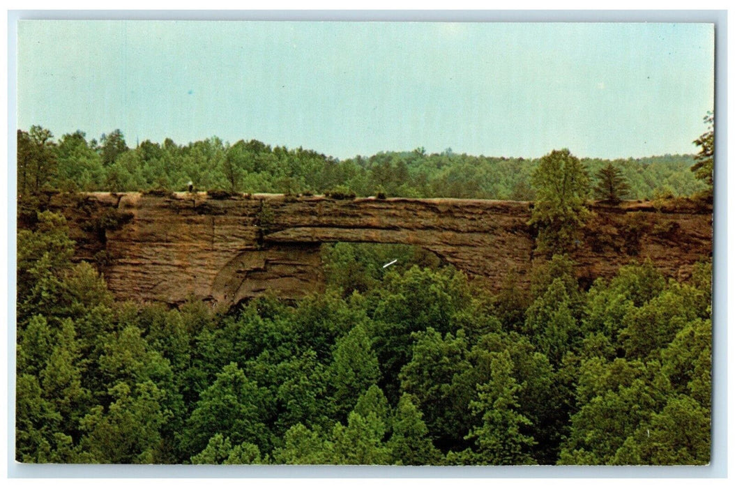 c1960 Natural Bridge Exterior Natural Bridge State Park Slade Kentucky Postcard