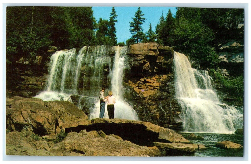 c1960 Blackwater Falls Picnic State Park Davis West Virginia WV Vintage Postcard