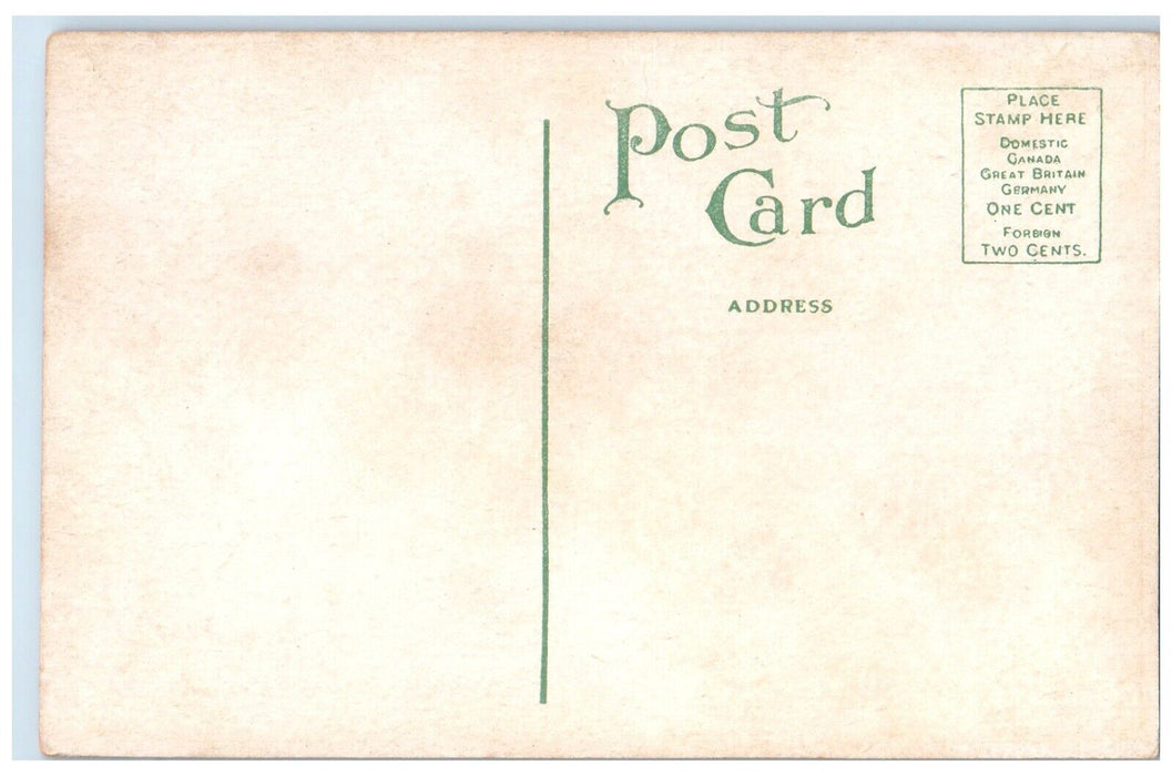 c1910's Swimming Pool West Baden Springs Hotel Interior Indiana IN Postcard