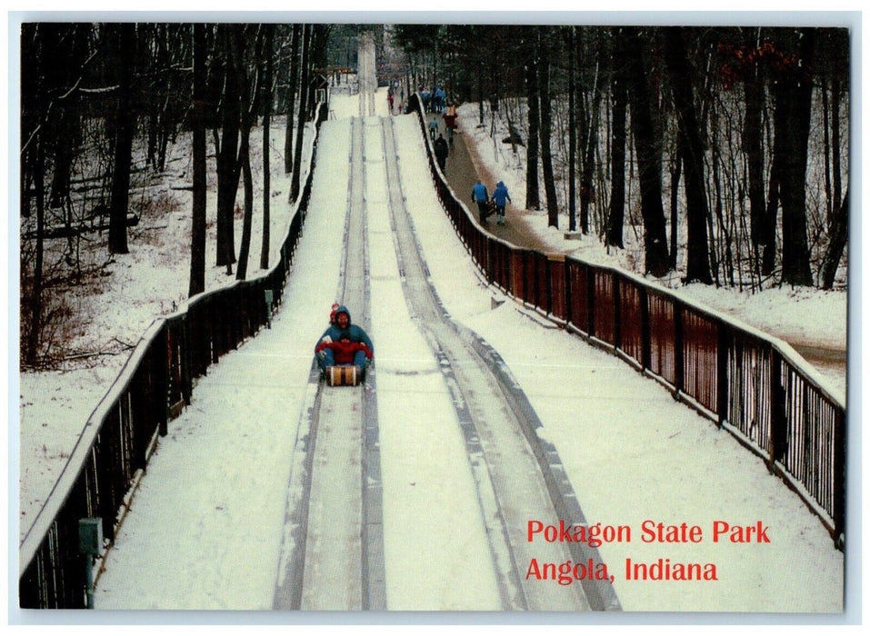 Twin Track Toboggan Run Winter Pokagon State Park Angola Indiana IN Postcard
