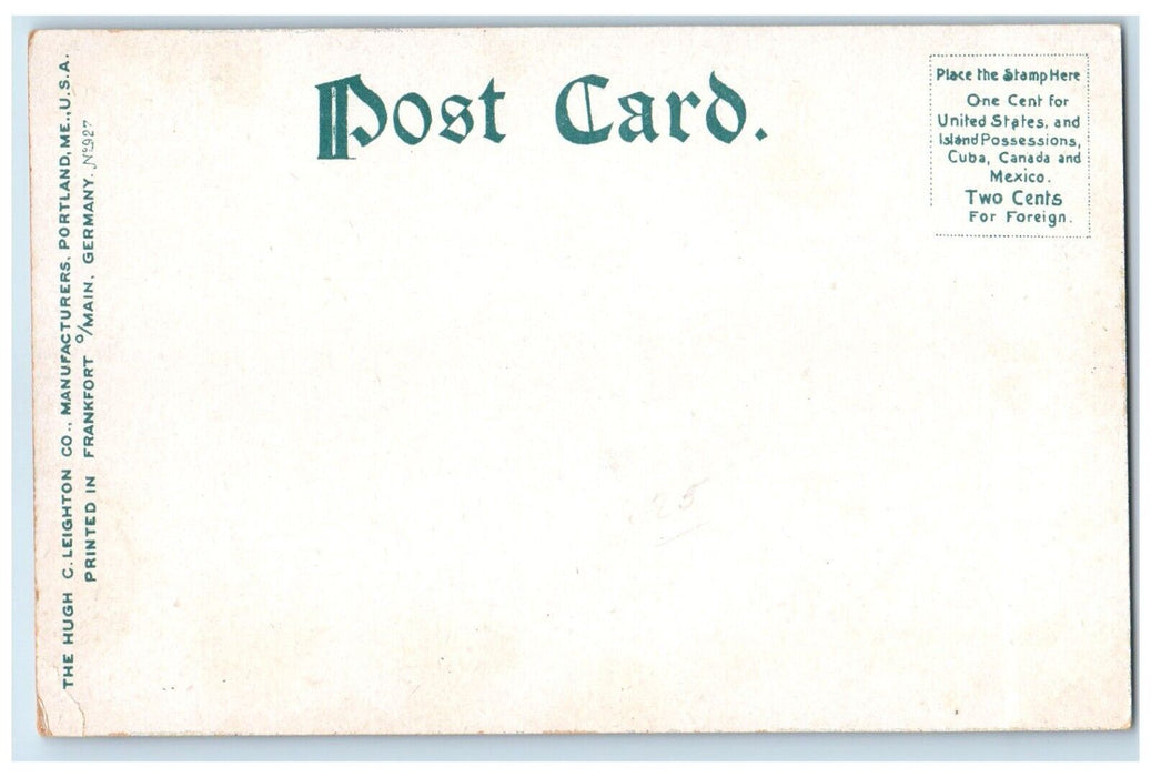 c1905 Adirondack Mountains River Canoe Boat Ampersand Pond New York NY Postcard
