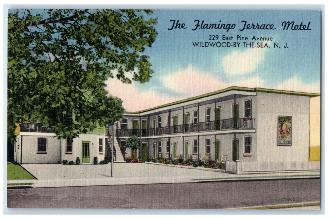 c1940 Flamingo Terrace Motel East Pine Avenue Wildwood Sea New Jersey Postcard