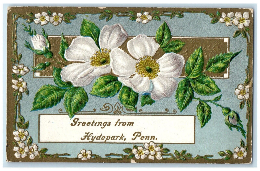 1910 Greetings From Embossed White Flower Hydepark Pennsylvania Vintage Postcard