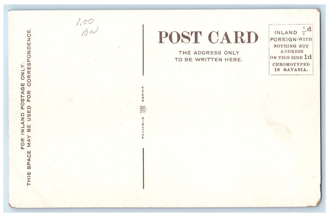 c1910 Abbotsford from the Tweed British Columbia Canada Unposted Postcard