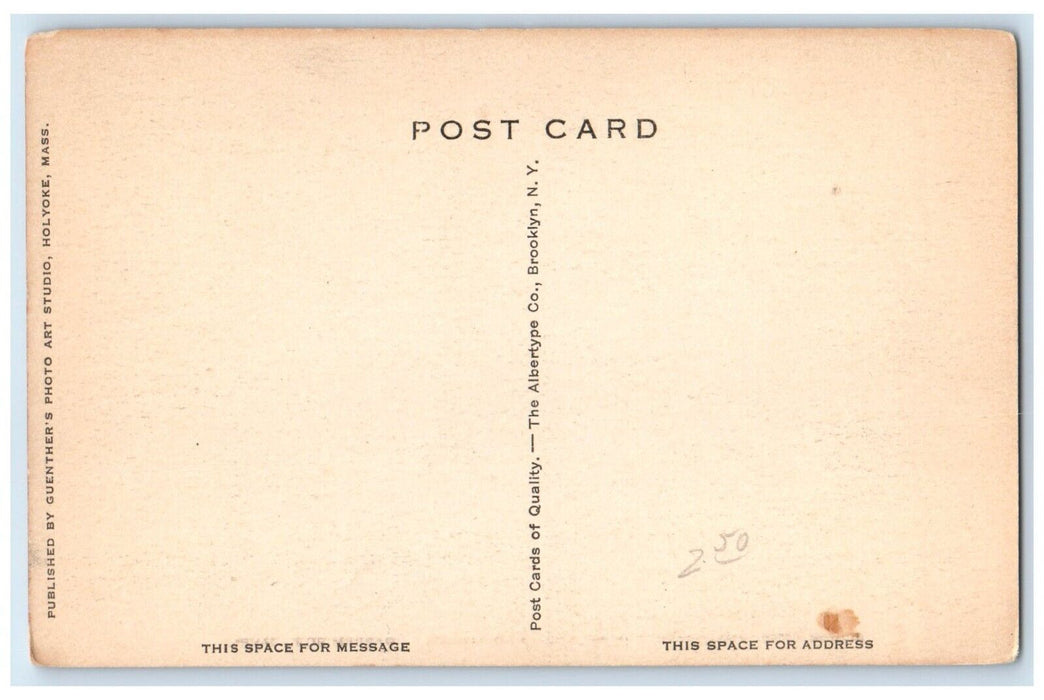 South View Springfield Home For Aged Women Springfield Massachusetts MA Postcard