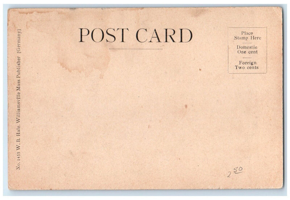 c1905 View Of Lovers Walk Take Canoeing Pleasant Massachusetts MA Postcard