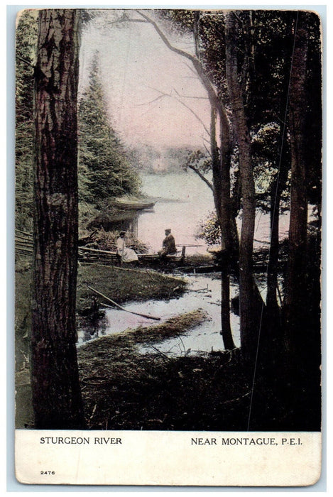 1912 Sturgeon River Near Montague Prince Edward Island Canada Posted Postcard