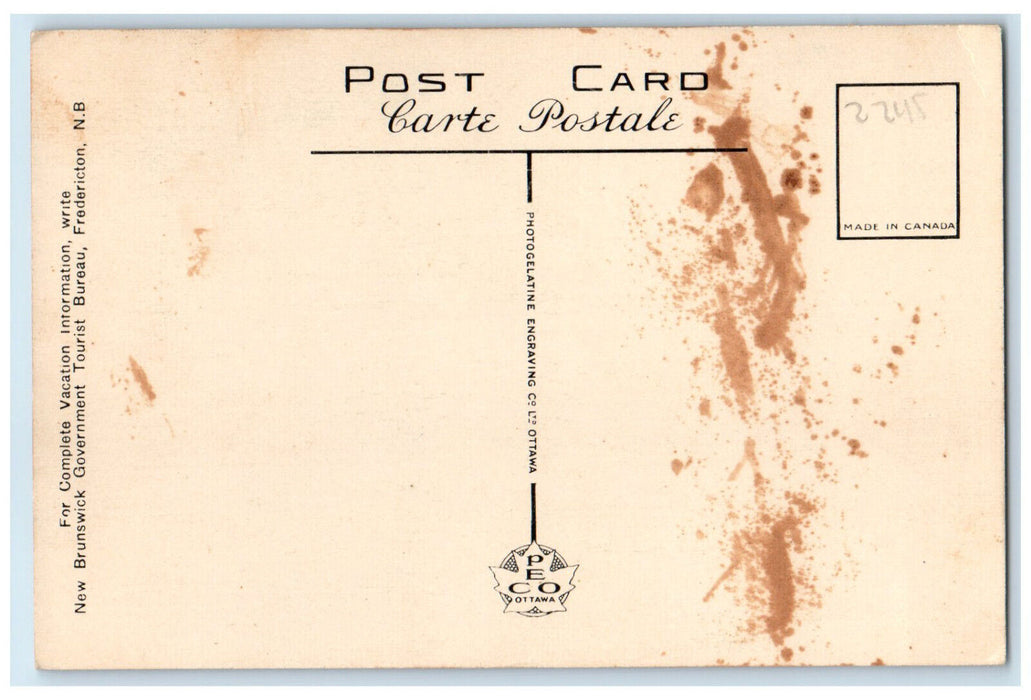 c1950's The Bridge Over Petitcodiac River Moncton New Brunswick Canada Postcard