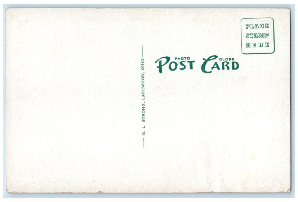 c1940 Forest Cathedral Longfellow Trail Cook Forest Park Lakewood Ohio Postcard